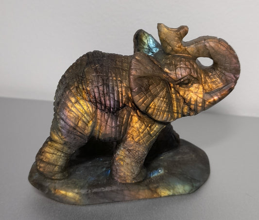 Labradorite - Elephant