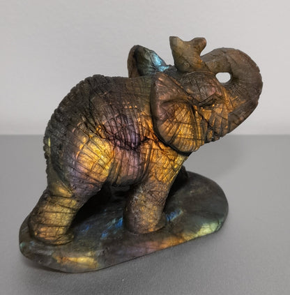 Labradorite - Elephant