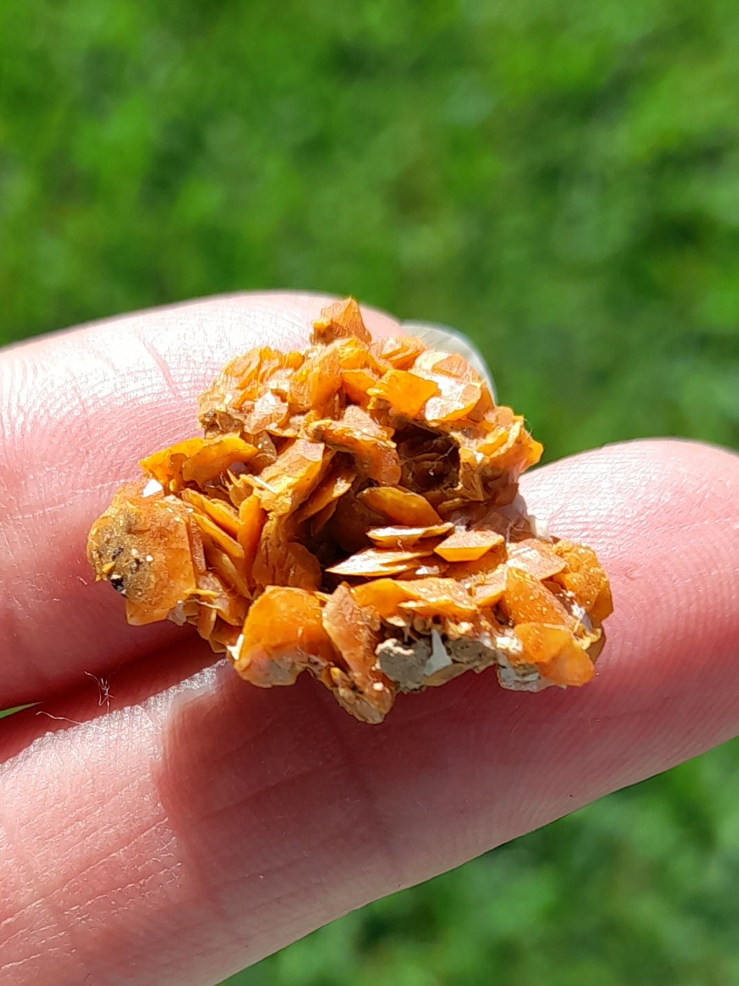 Wulfenite - Freeform