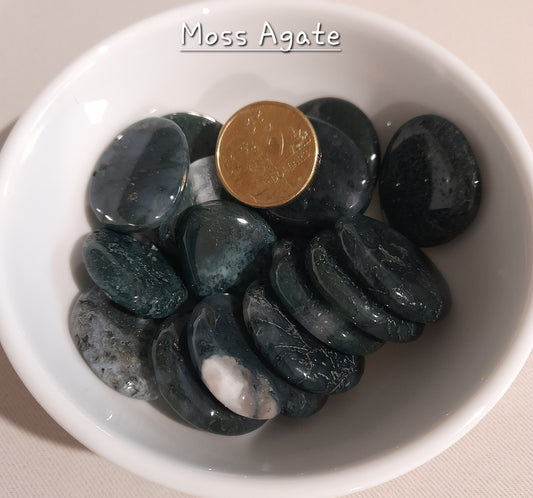 Agate Moss - Flat Stones