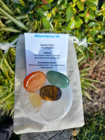 Abundance Kit